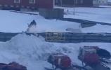 Main image for Man Drops Gun and Flees on Snowmobile as Polar Bear Charges.