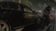 Main image for dog snatched From Parked Tesla in Hesit.