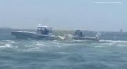 Main image for Marine Police Stop Runaway Boat After Driver Thrown Overboard in Sarasota Bay.