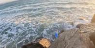 Main image for Teens Become Heroes in Dramatic Water Rescue.