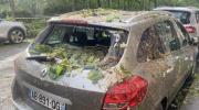 Main image for Lightning Strike Topples Tree, Smashes Cars in Paris Amid Hailstorm Chaos. 