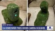 Main image for California Homeowner Discovers Hidden Camera Disguised with Fake Grass in Bushes