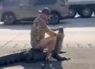 Main image for Barefoot Marine Vet &ldquo;Blue Collari-95 Brawler" Wrestles 6-Foot Alligator on Highway
