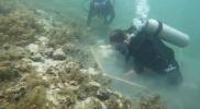 Main image for 18th-Century Danish Slave Ships Found Off Costa Rica's Coast.