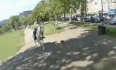 Main image for Two Police Horses Injured in Vicious Dog Attack During Patrol.