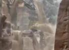 Main image for Flash Floods Force Evacuation at Ancient Petra Site in Jordan.