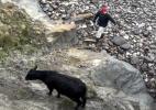 Main image for Heroic Cliffside Cow Rescue: Nathan Shares How He Risked It All to Save a Stranded Animal.