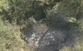Main image for Small Plane Crashes Into Trees Near Houston Airport.