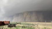 Main image for Dust Tsunami Covers Field.