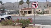 Main image for Clinic Obliterated in Palm Springs Explosion.
