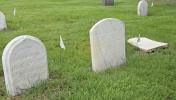 Main image for Reviving History at the Bronx's Cemetery.