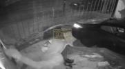 Main image for Burglars Crashed Car Into Shoe Shop.