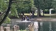 Main image for Illegal Immigrant Plunges Into Pond After ICE Busted Him.