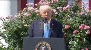 Main image for Trump Signs 'Take It Down Act' Into Law, Criminalizing AI Deepfake Exploitation.