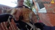Main image for Colorado Cops Chase Rogue Pet Kangaroo.