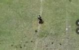 Main image for Putin's Biker Unit Shows Extreme Tactics to Fight Ukraine Lines.