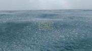 Main image for Filmmaker Battles Unpredictable Ice Waves.