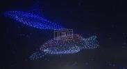 Main image for Dazzling Drone Show of Marine Life Lights Up Nice Sky. 