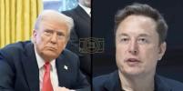Main image for Trump and Musk Clash in Fiery Social Media Feud.