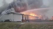 Main image for Wildfires Ravage Local Businesses. 