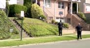 Main image for Police Kill Bear Roaming Residential Neighborhood in Westchester. 