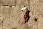 Main image for Stranded Dog Saved After Being Trapped on Steep Hill. 