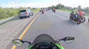 Main image for Two Motorcyclists Injured After Colliding with Alligator. 