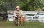 Main image for France Debuts First Drone-Guided Military Dog in Combat Operations.