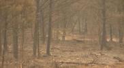 Main image for Canadian Wildfire Smoke Drifts into US Midwest. 
