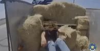 Main image for Smuggler Caught Hiding Migrants Under Hay Bales in Texas Trailer. 