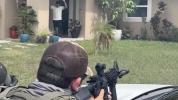 Main image for ICE Arrests Salvadoran National After Standoff in Florida. 