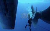 Main image for U.S. Marines Train for Combat Diving and Underwater Construction Missions