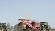 Main image for Israeli Farmers Brave Missile Fire to Keep Growing Crops Near Conflict Zones.