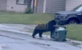 Main image for Bear's Hilarious Struggle to Open Trash Can in Alaska. 