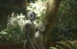 Main image for Neo Humanoid Robot Learns Household Tasks with New Redwood AI Training Model.