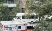 Main image for 14 Injured as Transport Van Slams Into Tree in Brooklyn.
