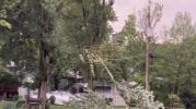 Main image for Plainfield, N.J. Declares State of Emergency After Deadly Thunderstorm Ravages Region.