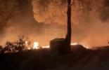 Main image for Turkey Battles Fierce Wildfires in Izmir Yesterday. 