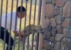 Good Samaritan Saves Trapped Baby Deer Stuck Between Metal Gate Bars. 