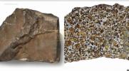 Main image for Largest Mars Rock on Earth Heads to Auction&mdash;Could Fetch Up to $4 Million.