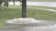 Main image for Flash Flooding Transforms Upstate New York Street Into Raging River. 