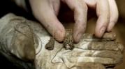Main image for Lone Volunteer Keeps Memory Alive, Searches for Hiroshima Bomb Victims' Remains 80 Years Later.