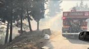 Main image for Humanitarian Groups Unite to Battle Raging Wildfires in Syria. 