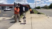 Main image for Humanoid Robot Spotted Casually Strolling Detroit Street &mdash; Is This the Future of Everyday AI?