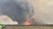 Main image for Massive 'Firenado' Swirls Over Utah Wildfire in Jaw-Dropping Scene. 