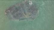 Main image for Drone Captures Shark Feeding Frenzy off Fire Island. 
