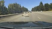 Main image for Grappler Stopped 130 mph Chase on I-5 in Thurston County.