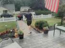 Main image for CLOSE CALL: Lightning Strikes Inches from Delivery Driver. 