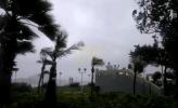 Main image for Typhoon Wipha Slams Hong Kong. 