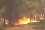 Main image for Deadly Wildfires Rage Across Northern Turkey.